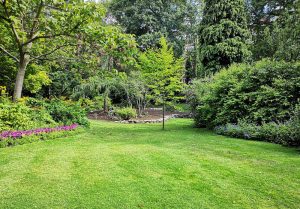 Optimiser l'expérience du jardin à Bettborn